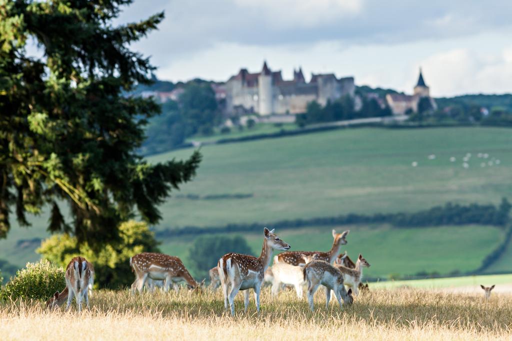 Hotel Chateau Sainte Sabine Esterno foto